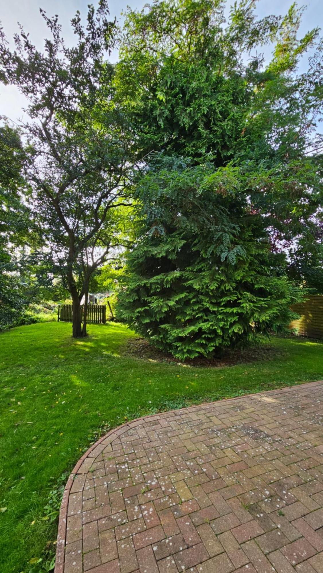 Usedom Suites Зиновиц Екстериор снимка